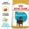 Royal Canin Rottweiler Puppy Aliment Pour Chiots -Miscota Soldes Boutique 191 1 0 g
