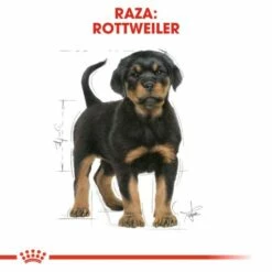 Royal Canin Rottweiler Puppy Aliment Pour Chiots -Miscota Soldes Boutique 191 6 5 g