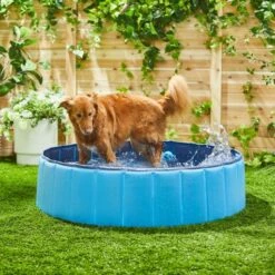 Trixie Piscine Pour Chiens -Miscota Soldes Boutique 193510 MAIN AC SS600 V1613601708 62a7519b549d8 g
