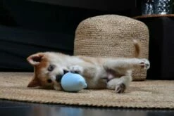 Petit Jouet Hochet Bleu Balu -Miscota Soldes Boutique 2 63e4e41e06124 g