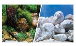 Marina Clear View 3D De Jardins D'Eau / Pierres