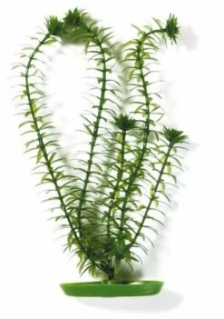 Marina Aquascaper X-Gde. Anacharis 37,5 Cm