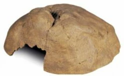 Exo Terra Grotte X Grande Taille