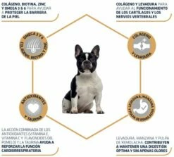 Advance Tourteau Bouledogue Français -Miscota Soldes Boutique 21826 3 3 g