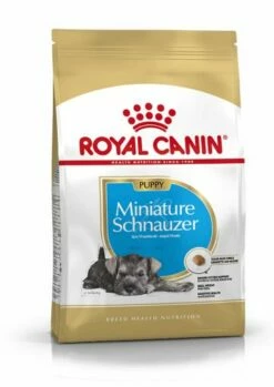 Royal Canin Miniature Schnauzer Junior 12 Royal Canin Miniature Schnauzer Junior -Miscota Soldes Boutique 22239 2 1 g