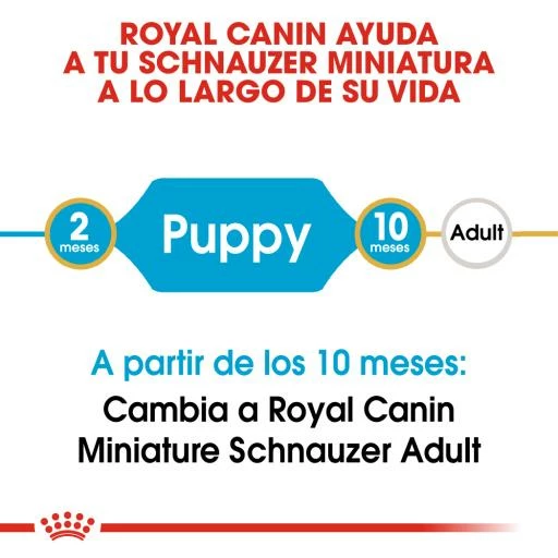 Royal Canin Miniature Schnauzer Junior 5 Royal Canin Miniature Schnauzer Junior – Image 3