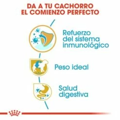 Royal Canin Miniature Schnauzer Junior 14 Royal Canin Miniature Schnauzer Junior -Miscota Soldes Boutique 22239 4 3 g