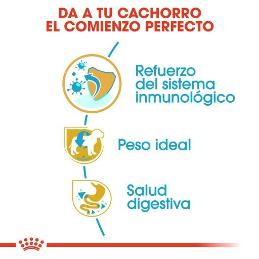 Royal Canin Miniature Schnauzer Junior 6 Royal Canin Miniature Schnauzer Junior – Image 4