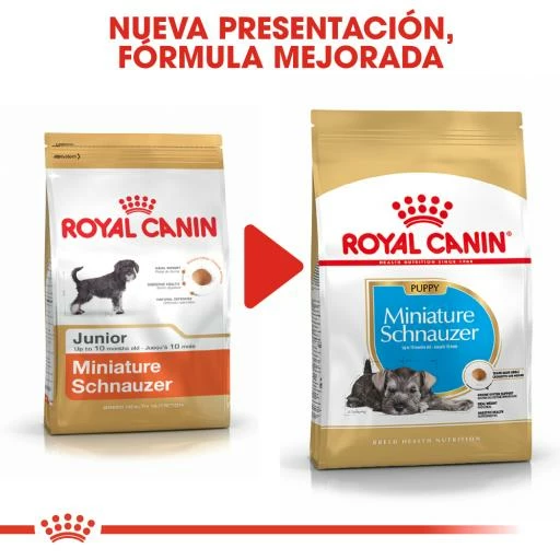 Royal Canin Miniature Schnauzer Junior 9 Royal Canin Miniature Schnauzer Junior – Image 7