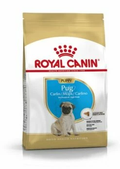 Royal Canin Pug Junior -Miscota Soldes Boutique 22240 2 1 g
