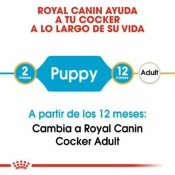Royal Canin Cocker Puppy Aliment Pour Chiots 13 Royal Canin Cocker Puppy Aliment Pour Chiots -Miscota Soldes Boutique 22241 3 2 g