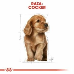 Royal Canin Cocker Puppy Aliment Pour Chiots 16 Royal Canin Cocker Puppy Aliment Pour Chiots -Miscota Soldes Boutique 22241 6 5 g