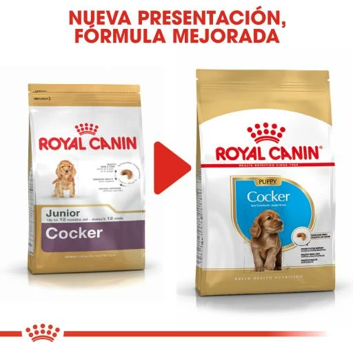 Royal Canin Cocker Puppy Aliment Pour Chiots 10 Royal Canin Cocker Puppy Aliment Pour Chiots – Image 8