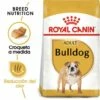 Royal Canin Bulldog Adult