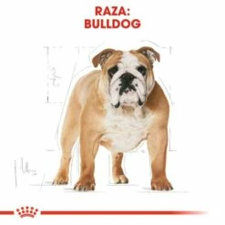 Royal Canin Bulldog Adult -Miscota Soldes Boutique 23 3 2 g