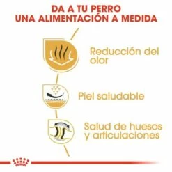 Royal Canin Bulldog Adult -Miscota Soldes Boutique 23 5 4 g