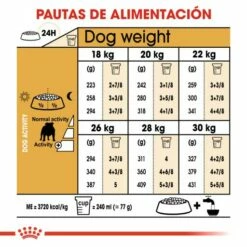 Royal Canin Bulldog Adult -Miscota Soldes Boutique 23 7 6 g