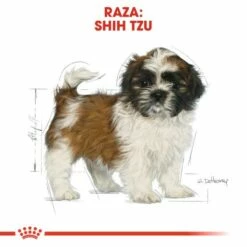 Royal Canin Shih Tzu Junior -Miscota Soldes Boutique 245 6 5 g
