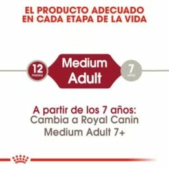 Royal Canin Medium Adult Pour Chiens Adultes De Taille Moyenne -Miscota Soldes Boutique 249 3 2 g