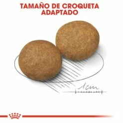 Royal Canin Medium Adult Pour Chiens Adultes De Taille Moyenne -Miscota Soldes Boutique 249 5 4 g