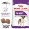 Royal Canin Nourriture Giant Adult