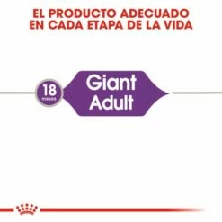 Royal Canin Nourriture Giant Adult 12 Royal Canin Nourriture Giant Adult -Miscota Soldes Boutique 25 3 2 g