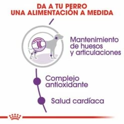 Royal Canin Nourriture Giant Adult 13 Royal Canin Nourriture Giant Adult -Miscota Soldes Boutique 25 4 3 g