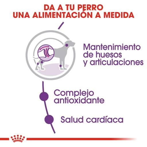 Royal Canin Nourriture Giant Adult 6 Royal Canin Nourriture Giant Adult – Image 4