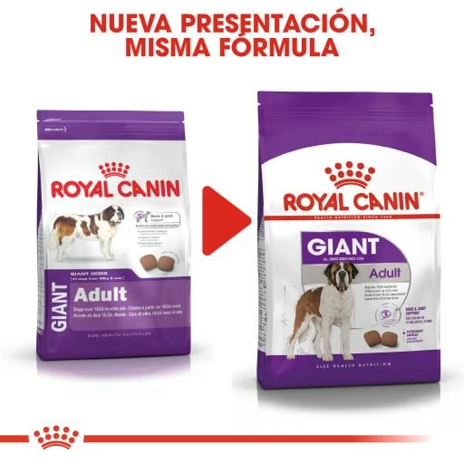 Royal Canin Nourriture Giant Adult 9 Royal Canin Nourriture Giant Adult – Image 7