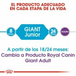 Royal Canin Tourteau Giant Junior -Miscota Soldes Boutique 26 3 2 g