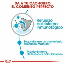 Royal Canin Tourteau Giant Junior -Miscota Soldes Boutique 26 4 3 g