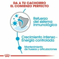 Royal Canin Giant Puppy Aliment Pour Chiots De Race Géante -Miscota Soldes Boutique 27 4 3 g