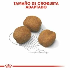 Royal Canin Giant Puppy Aliment Pour Chiots De Race Géante -Miscota Soldes Boutique 27 5 4 g