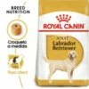 Royal Canin Labrador Retriever Adult -Miscota Soldes Boutique 28 1 0 g