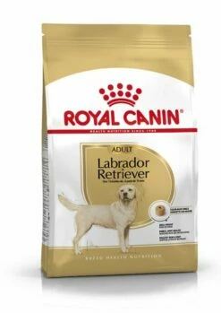 Royal Canin Labrador Retriever Adult -Miscota Soldes Boutique 28 2 1 g
