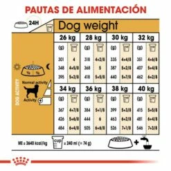 Royal Canin Labrador Retriever Adult -Miscota Soldes Boutique 28 7 6 g