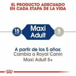 Royal Canin Maxi Adult Dog Food Pour Adultes Taille Grandes Races -Miscota Soldes Boutique 284 3 2 g