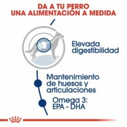 Royal Canin Maxi Adult Dog Food Pour Adultes Taille Grandes Races -Miscota Soldes Boutique 284 4 3 g