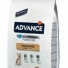 Advance Yorkshire Terrier Adult -Miscota Soldes Boutique 294 1 g