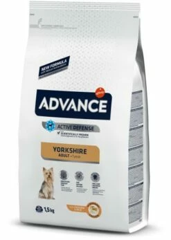 Advance Yorkshire Terrier Adult