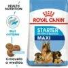 Royal Canin Nourriture Maxi Starter