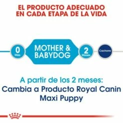 Royal Canin Nourriture Maxi Starter 14 Royal Canin Nourriture Maxi Starter -Miscota Soldes Boutique 308 3 2 g