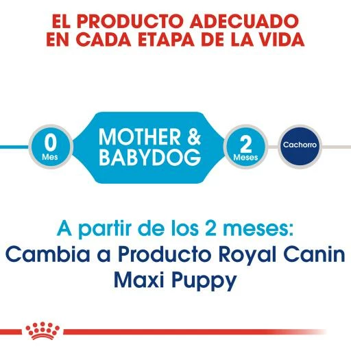 Royal Canin Nourriture Maxi Starter 5 Royal Canin Nourriture Maxi Starter – Image 3
