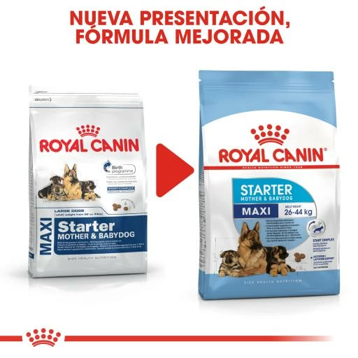 Royal Canin Nourriture Maxi Starter 8 Royal Canin Nourriture Maxi Starter – Image 6