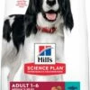 Hill's Science Plan Adult Aliment Pour Chien Adulte Medium Au Thon & Riz 1 Hill's Science Plan Adult Aliment Pour Chien Adulte Medium Au Thon & Riz -Miscota Soldes Boutique 318 52742926902 3 0 g