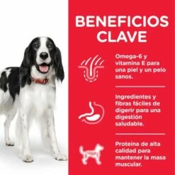 Hill's Science Plan Adult Aliment Pour Chien Adulte Medium Au Thon & Riz -Miscota Soldes Boutique 318 52742926902 4 3 g