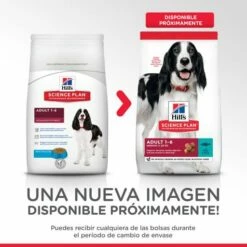 Hill's Science Plan Adult Aliment Pour Chien Adulte Medium Au Thon & Riz -Miscota Soldes Boutique 318 52742926902 5 1 g