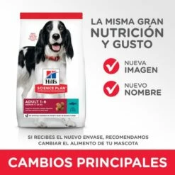 Hill's Science Plan Adult Aliment Pour Chien Adulte Medium Au Thon & Riz -Miscota Soldes Boutique 318 52742926902 6 2 g