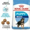 Royal Canin Maxi Puppy Aliment Pour Chiots De Race Grande