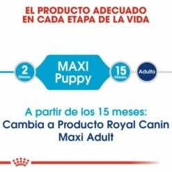 Royal Canin Maxi Puppy Aliment Pour Chiots De Race Grande 14 Royal Canin Maxi Puppy Aliment Pour Chiots De Race Grande -Miscota Soldes Boutique 32 3 2 g